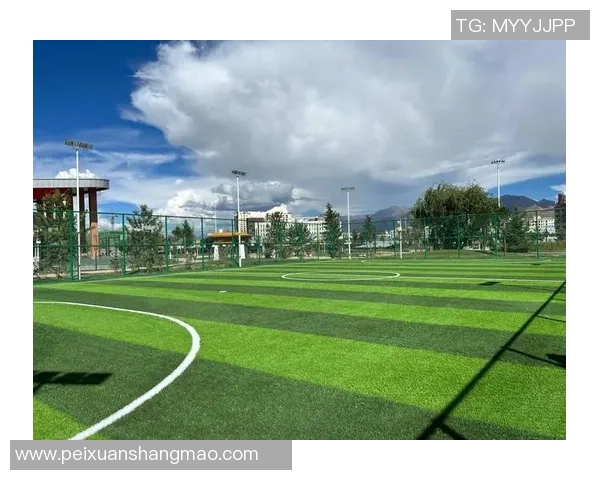 足球明星进场时的独特仪式揭秘：为何他们总要亲吻草坪与摸地的背后故事