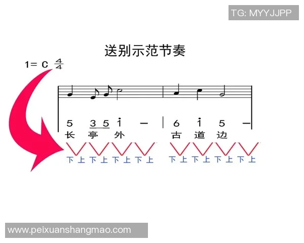 重庆乒乓球队的节奏打法解析与战术运用全面剖析