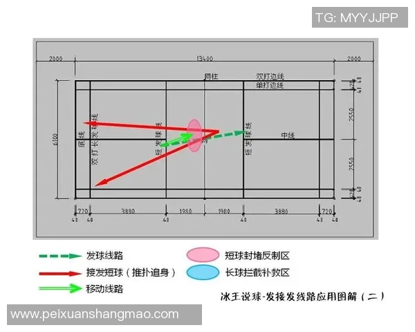 重庆羽毛球队的默契配合与战术分析探讨