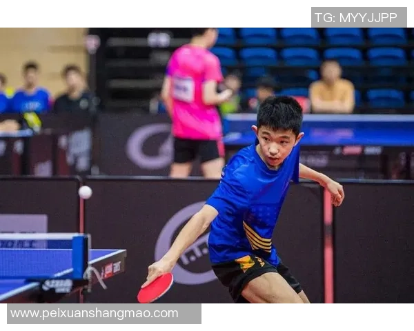 乒乓球盛宴：深入深圳乒乓球队的默契配合与训练秘辛