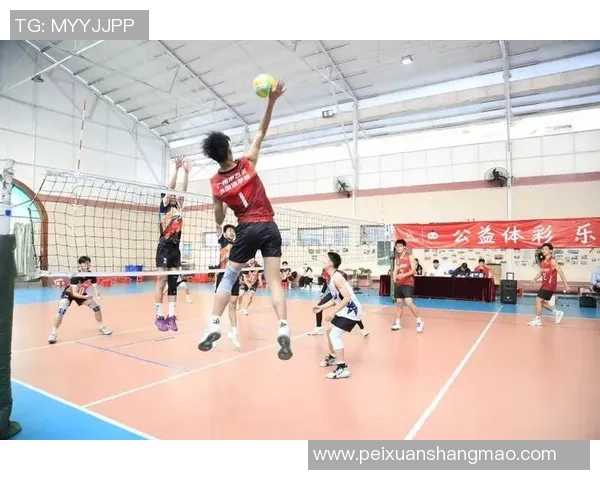 广州排球队在钻石联赛中的速度表现分析与未来展望