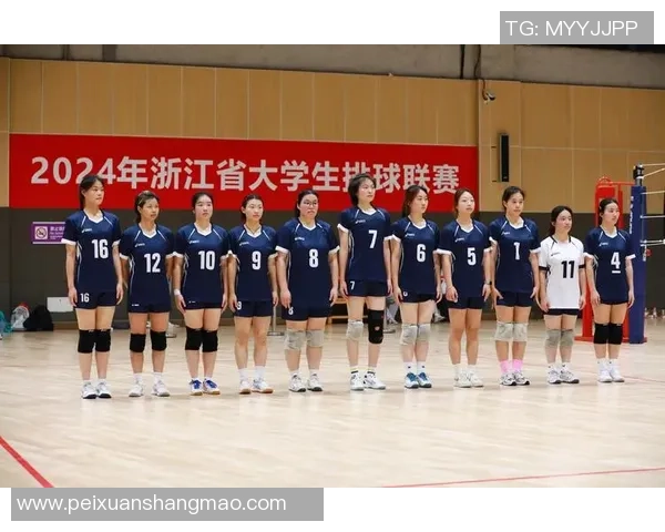 杭州排球队的精神力量与团队意识探讨：排球运动中的团结与奋斗