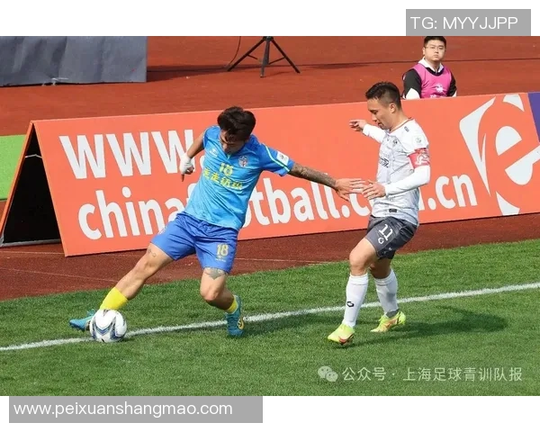 足球盛宴：深入解析上海足球队的战术理念与团队精神