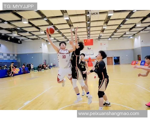 重庆篮球队运营新策略解析与未来发展展望